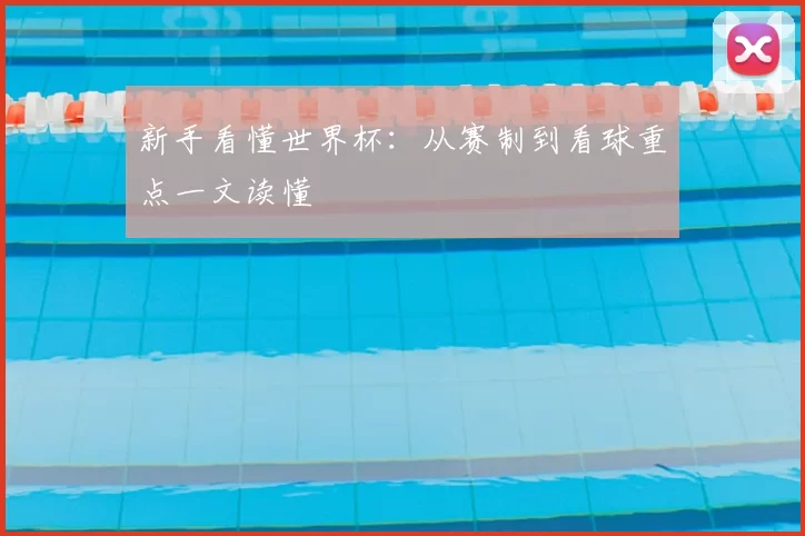 新手看懂世界杯：从赛制到看球重点一文读懂