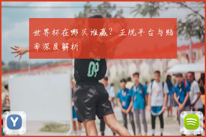 世界杯在哪买谁赢?正规平台与赔率深度解析
