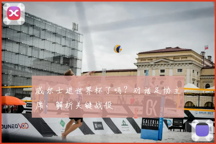 威尔士进世界杯了吗？对话足协主席，解析关键战役