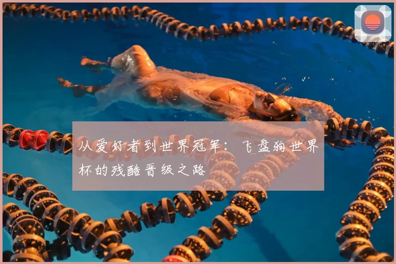 从爱好者到世界冠军：飞盘狗世界杯的残酷晋级之路