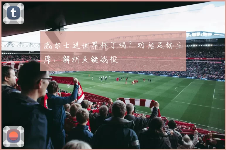 威尔士进世界杯了吗?对话足协主席,解析关键战役