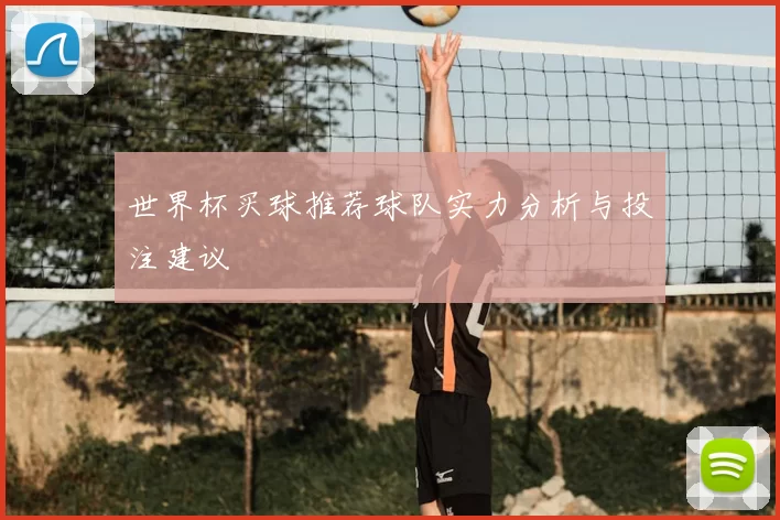 世界杯买球推荐球队实力分析与投注建议