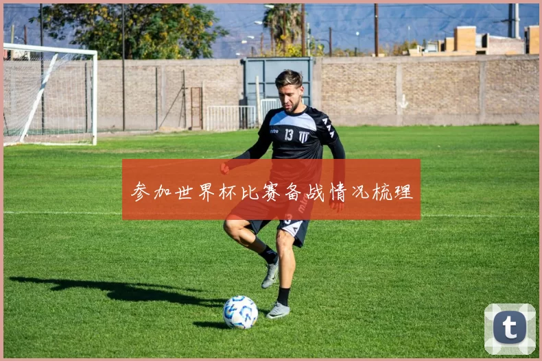 参加世界杯比赛备战情况梳理