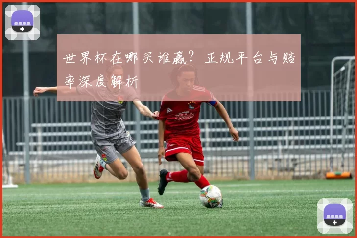 世界杯在哪买谁赢？正规平台与赔率深度解析