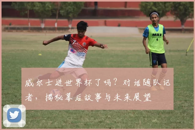 威尔士进世界杯了吗?对话随队记者,揭秘幕后故事与未来展望