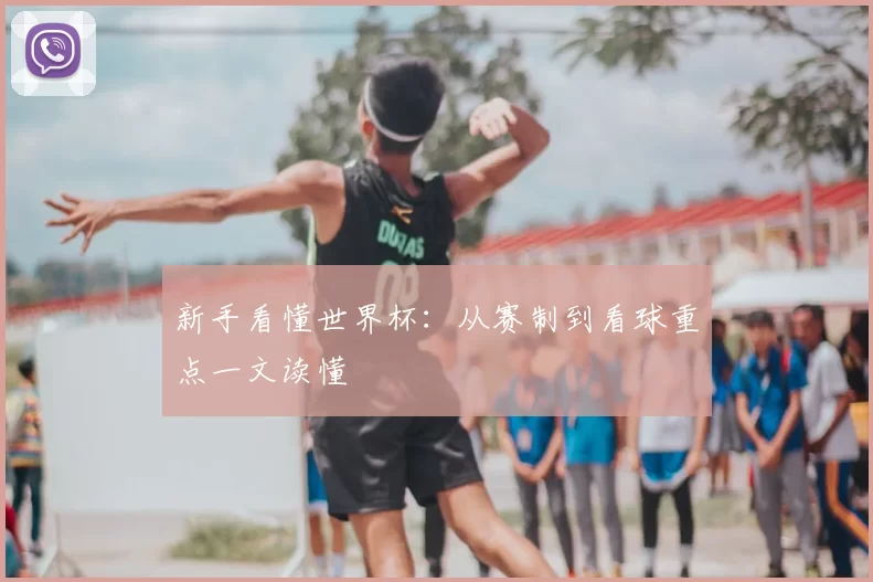 新手看懂世界杯:从赛制到看球重点一文读懂
